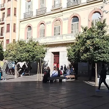 La Vida Málaga